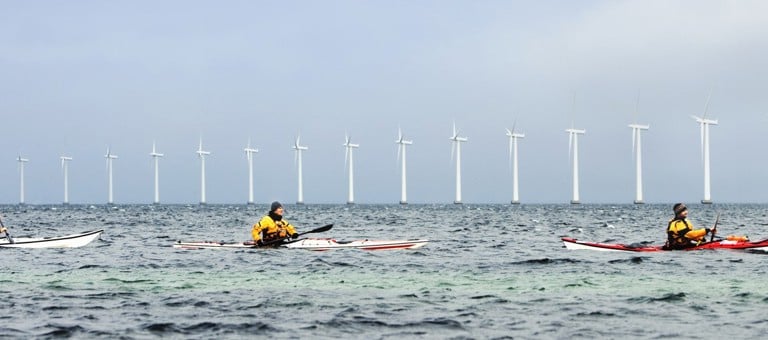 Three kayakers in front of an offshore wind farm