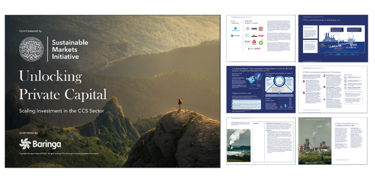 images of the report