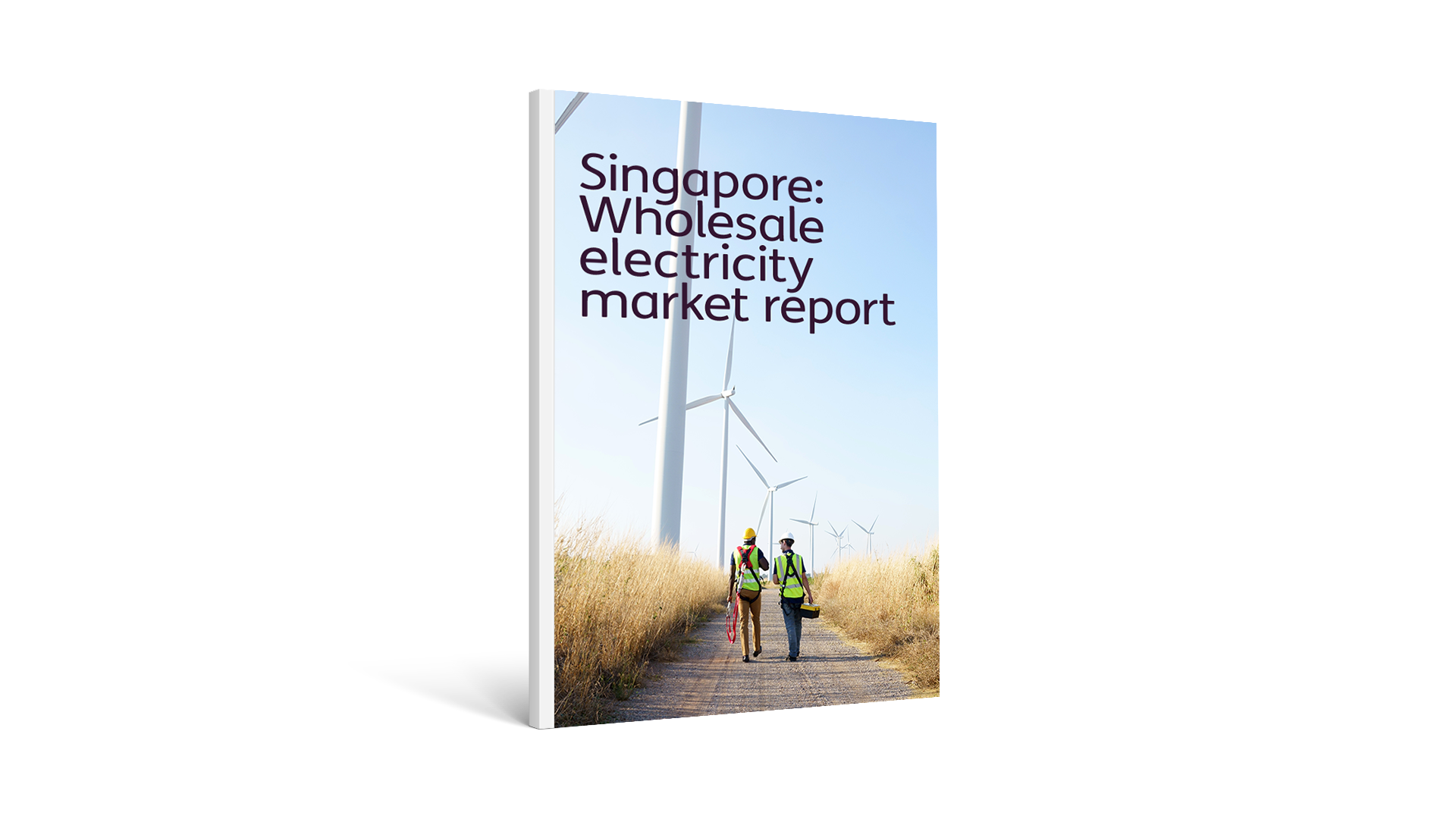 Singapore: wholesale electricity market report cover