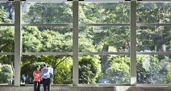 workers in office setting with plants outside