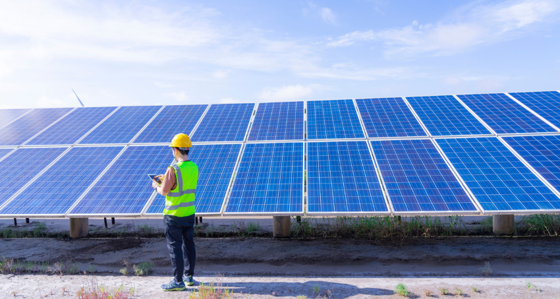 Worker inspecting a solar farm
