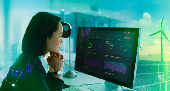 Woman looking at data on a computer screen