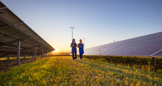 People at a solar farm