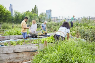 People helping out others on a community allotment