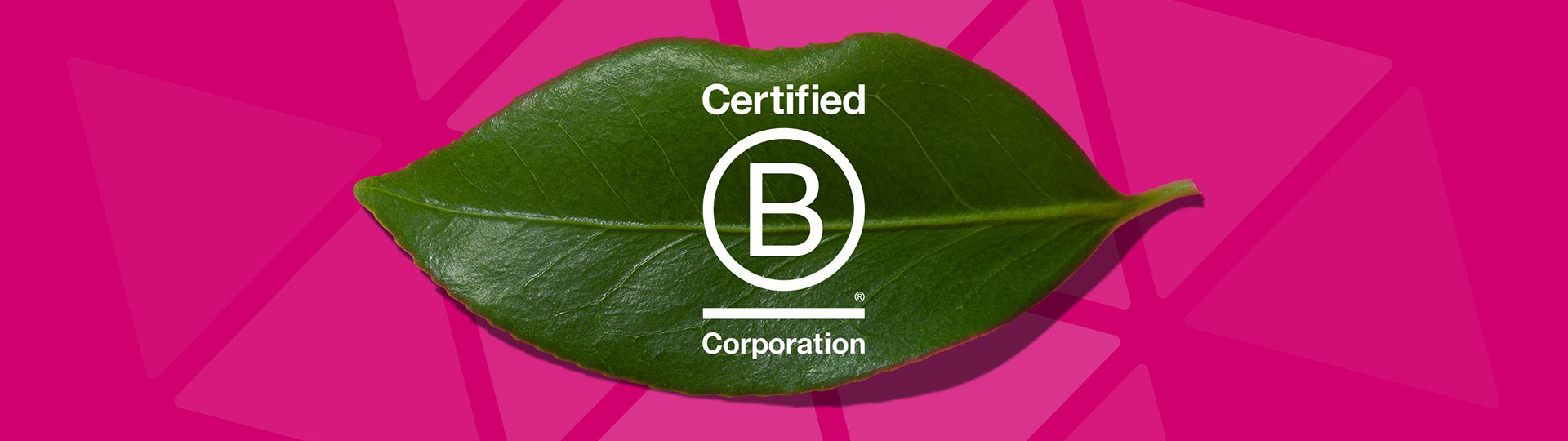 Baringa Certifies As A B Corporation | Baringa