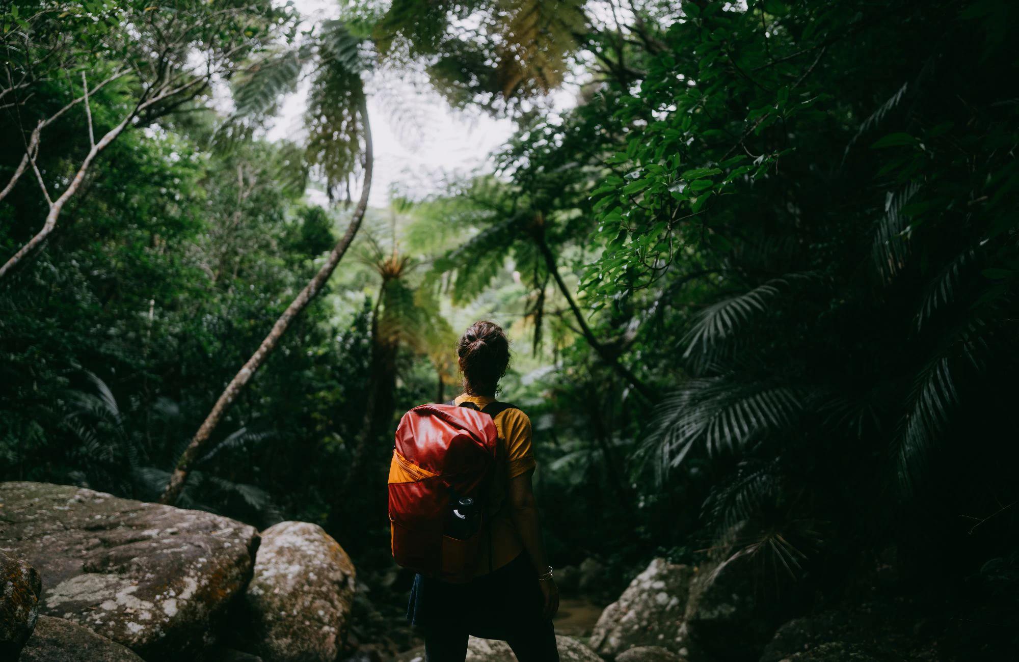 Woman with red backpack standing in forest