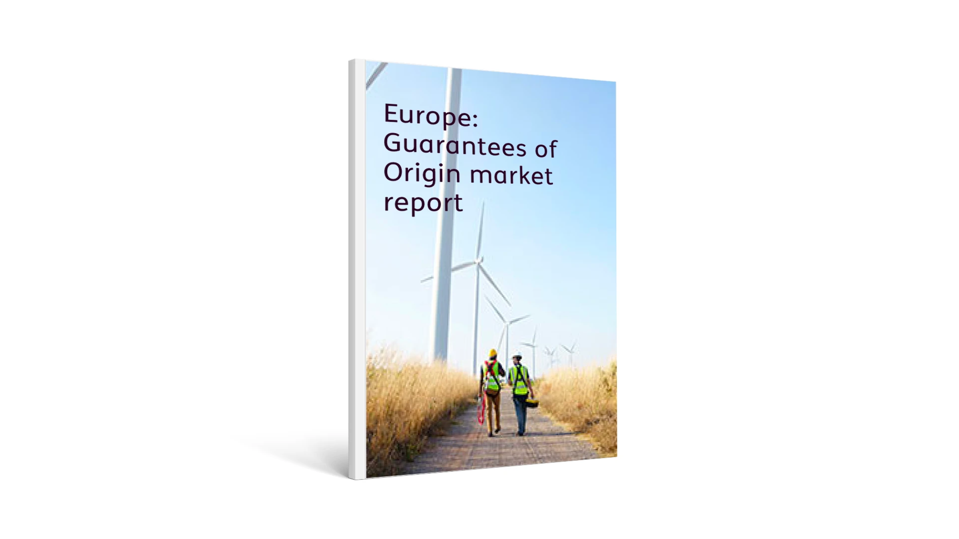 Europe: Guarantees of Origin market report