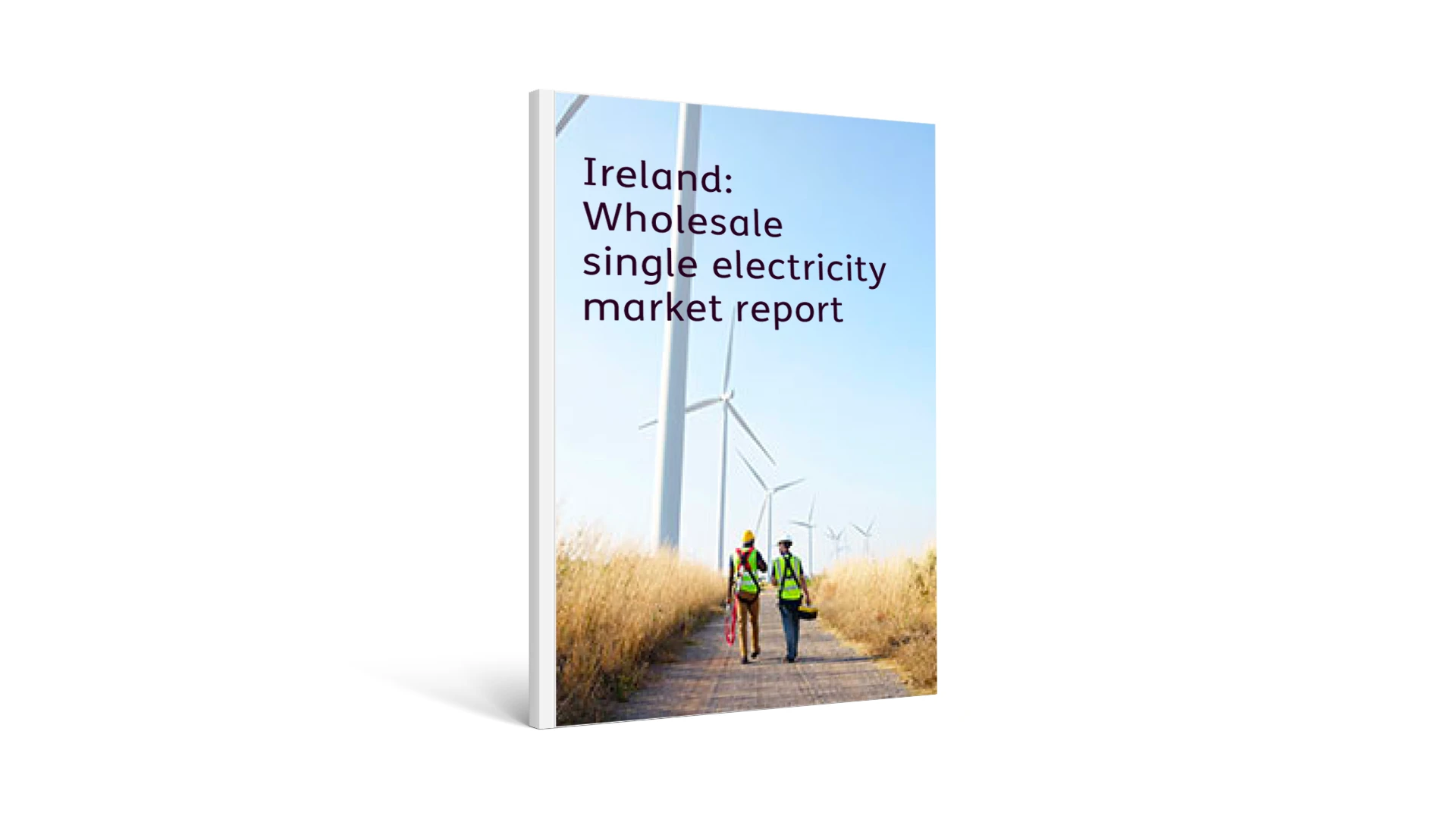 Ireland: Wholesale single electricity market report
