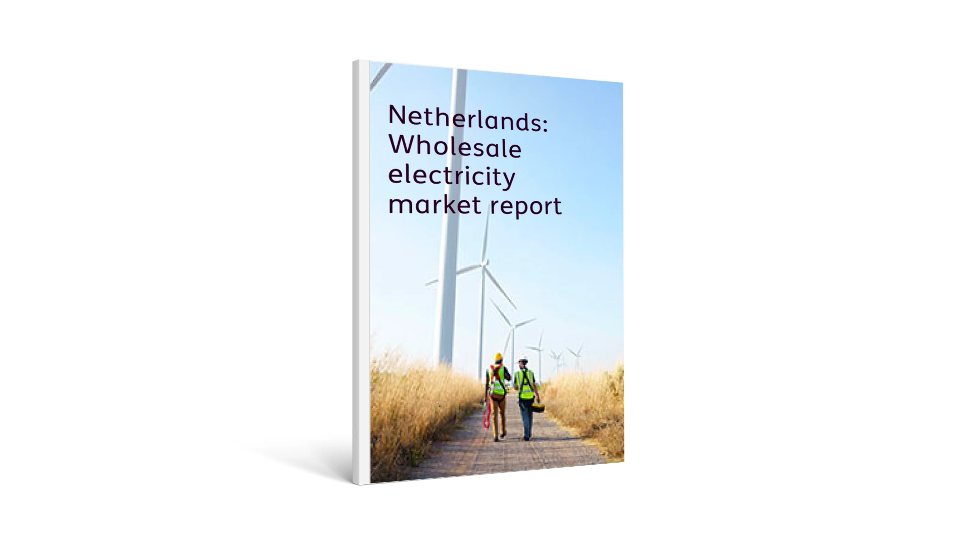 Netherlands: Wholesale electricity market report