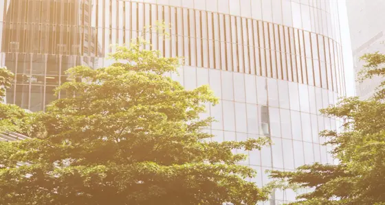 Three trees in front of large modern glass faced buildings