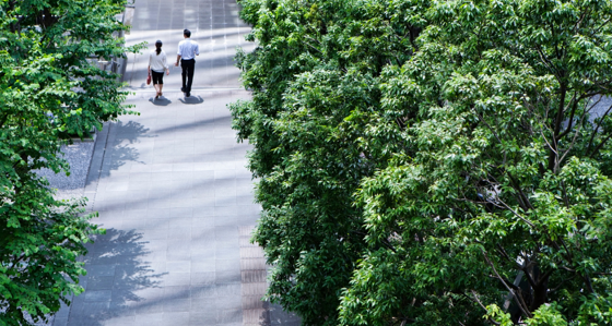 Two people walking down tree lined street