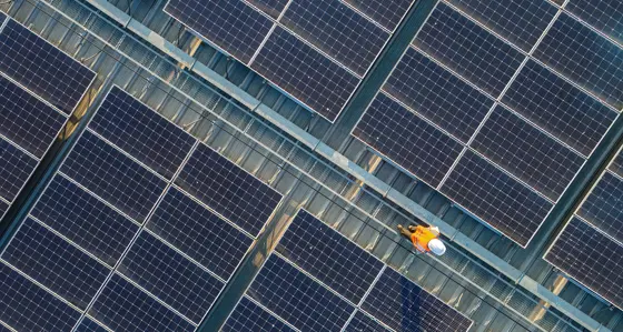 Worker in a solar farm