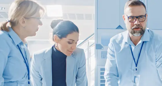 Four work colleagues in a meeting