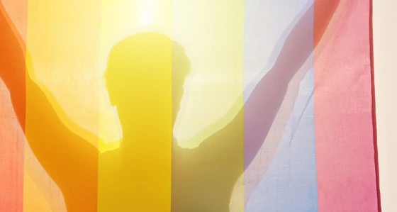  A silhouetted person holding up a rainbow flag in front of them