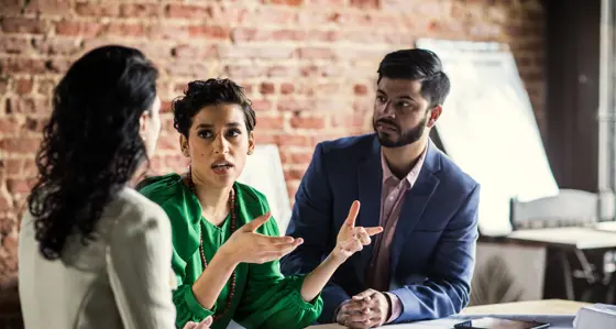 Professionals in a meeting