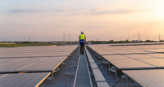 Worker in a solar farm