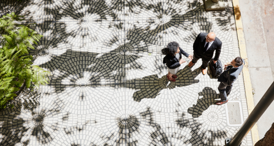 Three business people having a conversation on tree lined sidewalk