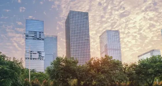 City skyline with a row of trees in the foreground